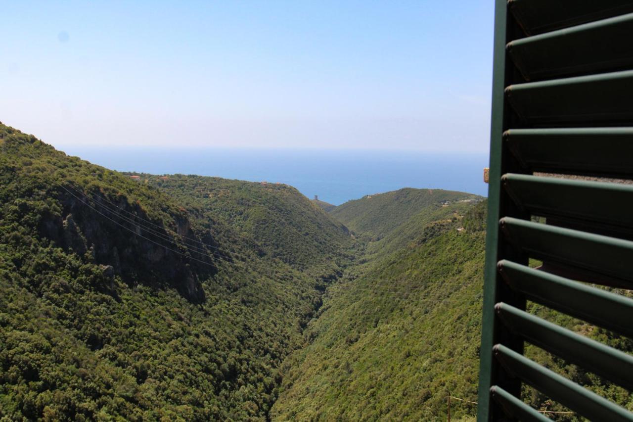 Affittacamere Pantaleone Camerota Exterior photo